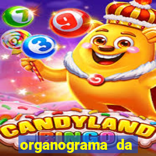 organograma da cacau show